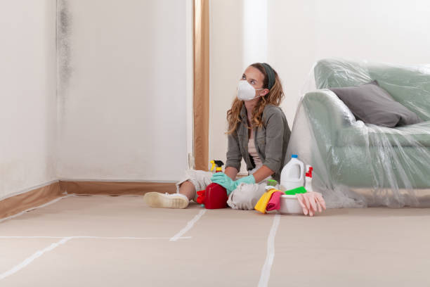 Reliable Mold Remediation contractor in Beltsville, MD by WQB Mold Removal